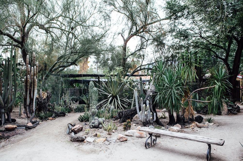 Desert Lodge Palm Springs Exterior foto